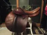 L Apogee close contact saddle 17.5 &quot