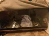 Reptile Cage