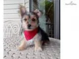 Benjamin..Adorable.. Watch My VIDEO