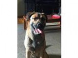 moving sale...8232017 (dwn twn L.A)