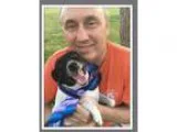Adopt Maddy a Jack Russell Terrier