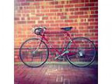 Ricardo Elite Single Speed Bicycle