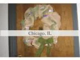 Foreclosure Agricultural (Farm or Ranch) for sale in Chicago IL