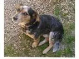 Follow me on Google plus and give me a like on Facebook to get a
