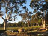 Burial Plots (Monumental Grave Sites) at Macquarie Park