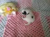 PeprMntPatty