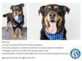 Ohio State Buckeyes vs Indiana Hoosiers