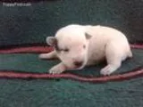 Sadie s 2M