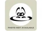 Adopt Hector a Domestic Shorthair  Mixed cat in Menands NY (1539