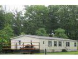 Auction Mobile Home for sale in Greenville NY