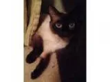 Members Preferred Credit Union