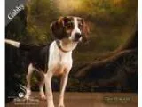 1700 2 bedroom in West Suburbs