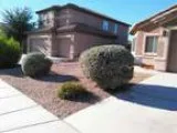 Professional Landscaping Services  reasonable price Tucson and S