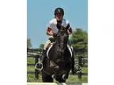 Athletic pony mare for sale or trade