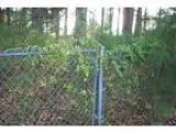 Foreclosure Agricultural (Farm or Ranch) for sale in Cabot AR