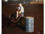 Rodeo HorseBarrel Horse