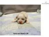 Holly and Blake 2M