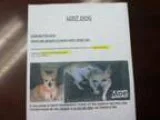 Lost Dog - quotMOE quot