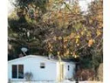 Auction Mobile Home for sale in Bellevue MI