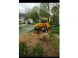 Stump Grinding Services (Charlotte)