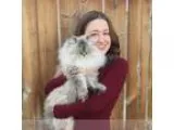 Cat dog and small animal pet sitting in SE Calgary