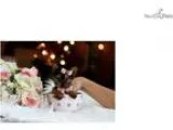 WWW.Teacuppupiesstor e.Com Yorkie