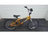 20&quot bike (Greenwood)