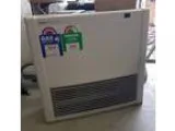 Rinnai Avenger 25Plus