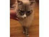 ALL FENCE INSTALLATION SERVICES
