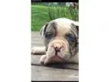 Sale Pending