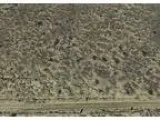 AFFORDABLE LAND  0.85 Acre RESIDENTIAL Parcel in Southern Arizon
