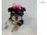 Princess..Beautiful. .Watch My Adorable Video