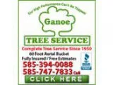 Ganoe Tree Service