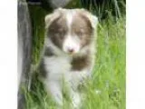 Sale Pending