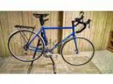 2009 Gunnar Sport 58cm (Humboldt)