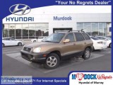 2001 Hyundai Santa Fe GL