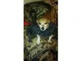 Adopt BonnieTN a Jack Russell Terrier