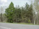 Public Real Estate Auction