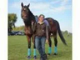 Lovely Thoroughbred For Sale