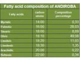 Andiroba Oil (8 Oz) - Raw and Unrefined - 100% Natural - Sustain
