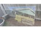 Glass 214 x 100 x 5mm  thick
