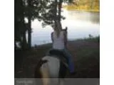 Dog Boarding and Walks by the Lake