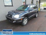 2005 Hyundai Santa Fe LX