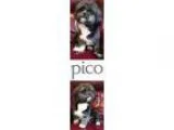 Adopt PICO a Black - with White Shih Tzu  Mixed dog in Plano TX 