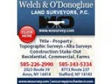 Welch and O Donoghue