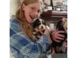 High School Student CPRBabysitting Certified Care Provider in Fl