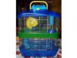 Dwarf Hamster Cage and Accessories
