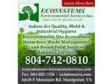 EcoSystems Environmental Services Inc