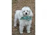 Middle Georgia Christian School Cumulative Records Pickup