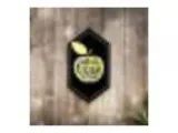 Toronto Cider Festival